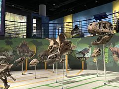 -国家自然博物馆