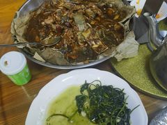 甲鱼-大王岭农庄