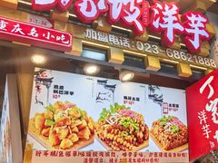 -周小亮丁家坡洋芋(全国总店)