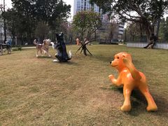 -景田北六街公园宠物主题园