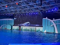 -海合安青岛极地海洋公园