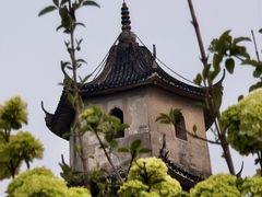-江心屿景区