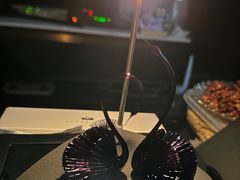 -BLACKSWAN黑天鹅(环球店)