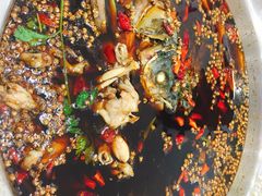 -大味美蛙鱼头(遂宁总店)