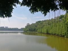 -三水森林公园