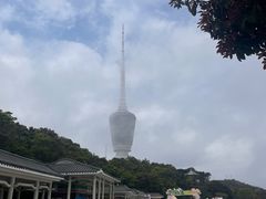 -梧桐山风景名胜区