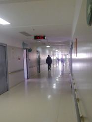 -沈阳市儿童医院