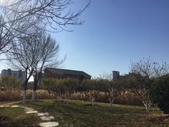 -南开大学滨海学院