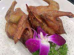 红烧脆皮鸽-鸽鸟轩(石岐店)