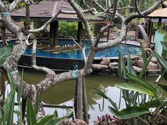 -厦门日月谷温泉渡假村