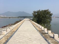 -福建鲤鱼洲酒店