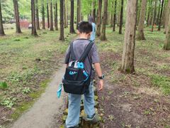 -黄海国家森林公园