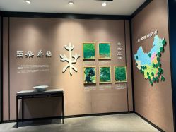 -太湖雪蚕桑文化园