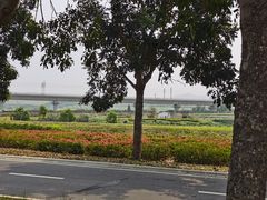 -光明小镇欢乐田园