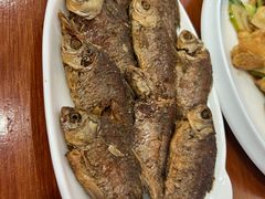 -独流饭店(静海区国土资源分局西)