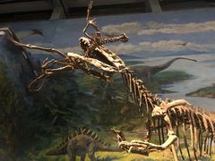 -自贡恐龙博物馆