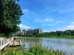 -怡海公园(桂城街道)