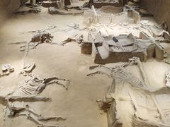 -洛阳周王城天子驾六博物馆