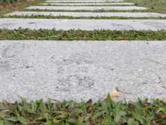 -紫马岭公园