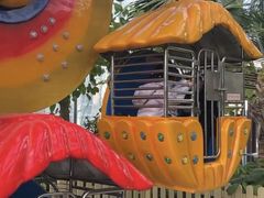 -南宫五洲植物乐园