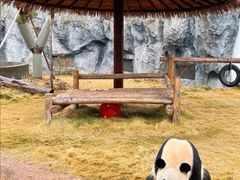 -杭州野生动物世界
