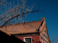 -故宫博物院(故宫)