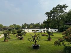 -扬州大运河文化旅游度假区·盆景园