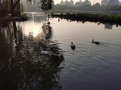 -莲花池公园