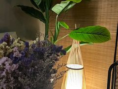 -施奈儿.洗头頭療.按摩SPA.采耳(上梅林店)