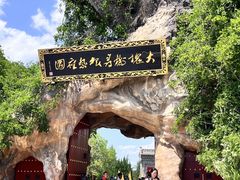 -大槐树寻根祭祖园