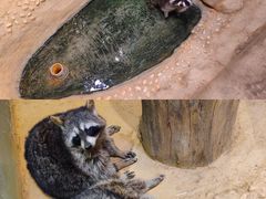 -正佳雨林生态植物园