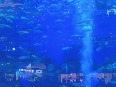 -成都浩海立方海洋公园