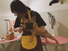-Double Rui宠物酒店