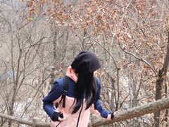 -西安祥峪森林公园