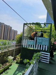 -可可天空农场(中大店)