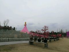 -秀丽东方