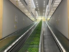 -世纪联华超市(凤起店)