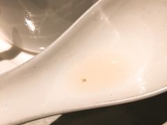 加了虫子的汤-T館·花园艺术餐厅