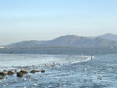-深圳湾公园(南山区)