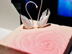 -BLACKSWAN黑天鹅(环球店)