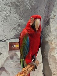 -Zoolung Zoolung动物主题公园(海信广场店)