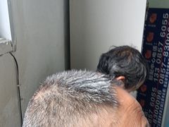 -自然之声助听器·呼吸机(公园路店)