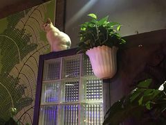 -山色西餐·柴火烤披萨
