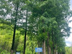 -莫干山风景区