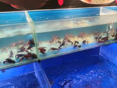 -阿财老铺·凤阳土菜馆