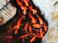 -一桶江山餐厅(松北店)