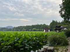 -印象西湖·最忆是杭州实景演出