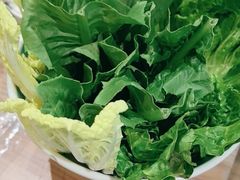 -探窝·竹笙椰子鸡(杨箕店)