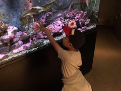 -西雅图水族馆