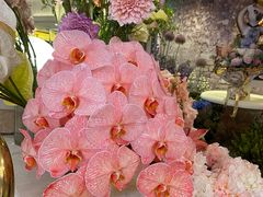 -百荣世贸商城
